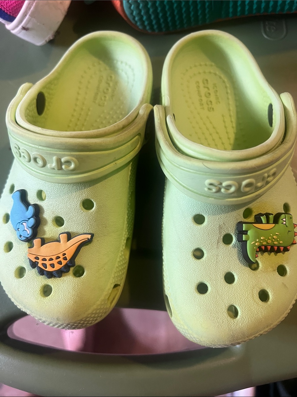 CROCS Kids' Light Green Classic Clog with Fun Charms